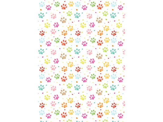 Carta da regalo Kartos Everyday 70x100 cm mod. Zampine Conf. 10 fogli - 18868100B10