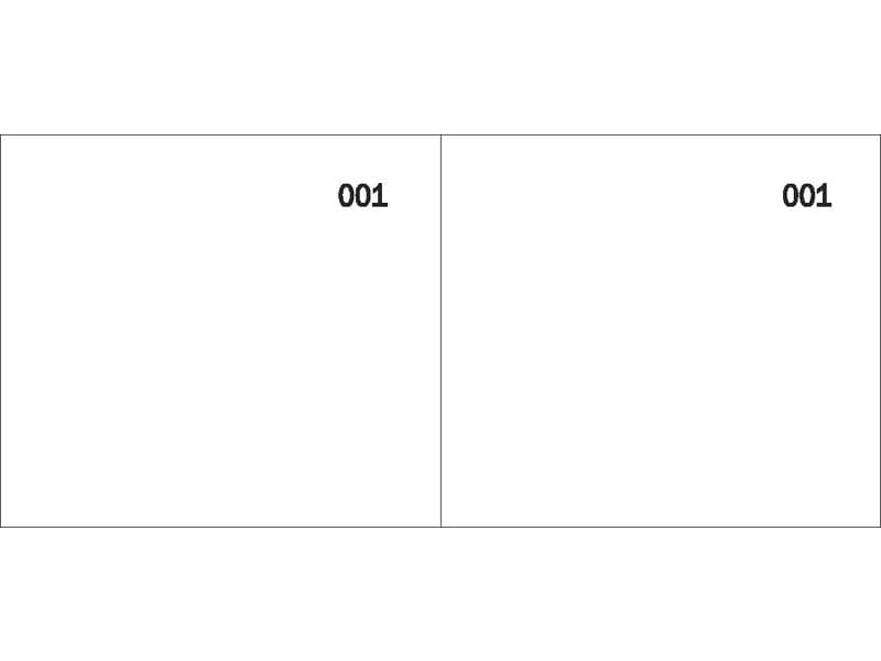 Scontrino colorato a 2 sezioni Data Ufficio blocco 100 copie prenumerate bianco - DU160000010