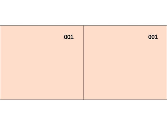 Scontrino colorato a 2 sezioni Data Ufficio blocco 100 copie prenumerate rosso - DU160000020