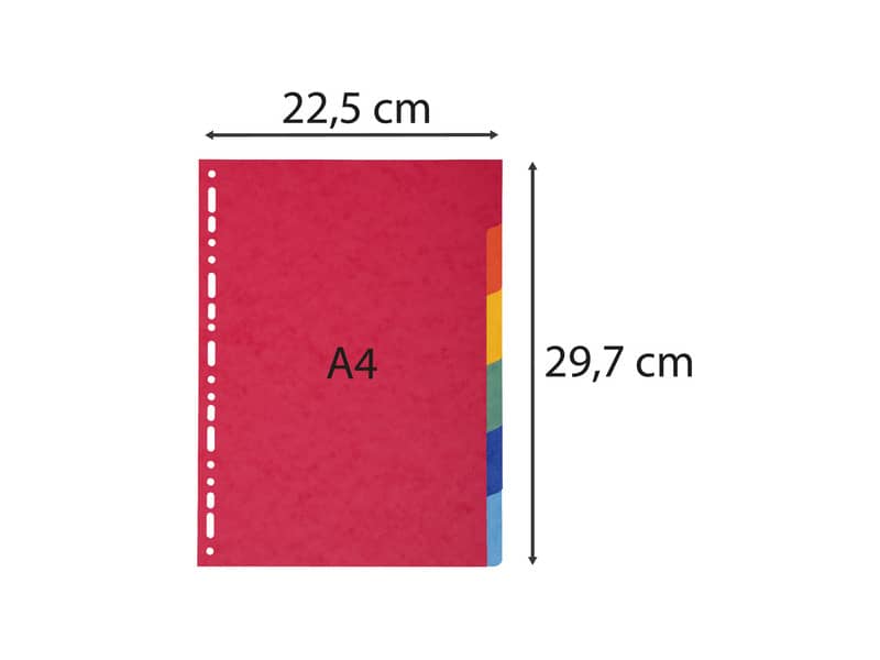 Intercalari in carta Exacompta 6 tasti colori vivaci cartoncino riciclato A4 220 g/mq - 2006E