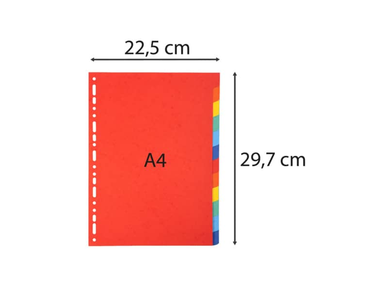 Intercalari in carta Exacompta 12 tasti colori vivaci cartoncino riciclato A4 220 g/mq - 2012E