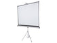 Schermo a treppiede 4:3 Nobo 175x132,5 cm 1902396