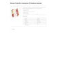 Divisori per registratori King Mec Festival 12 tasti assortiti 1600227