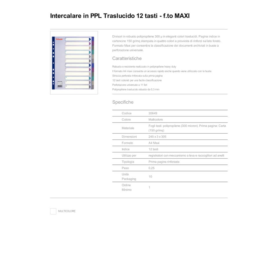 Divisore Esselte Intercalare 12 tasti A4 Maxi 20649
