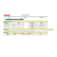 Portamine Pentel Energize Pencil 0.7 mm argento-turchese PL77-SO