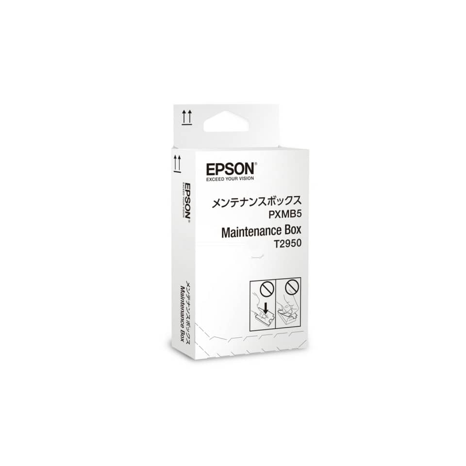 Kit manutenzione PXMB5 Epson  C13T295000