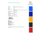 Portalistini Exacompta LINEA OPACO 8 colori assortiti ppl A4 40 buste 8540E