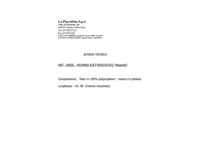 Piumino elettrostatico Magnete Perfetto col. assortiti diametro 15 cm x h 64 cm 0065C