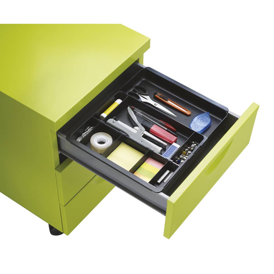 Inserto Exacompta DRAWINSERT per cassettiere BIG-BOX e BIG-BOX PLUS 24,6x29,8x3,6 cm - 316014D