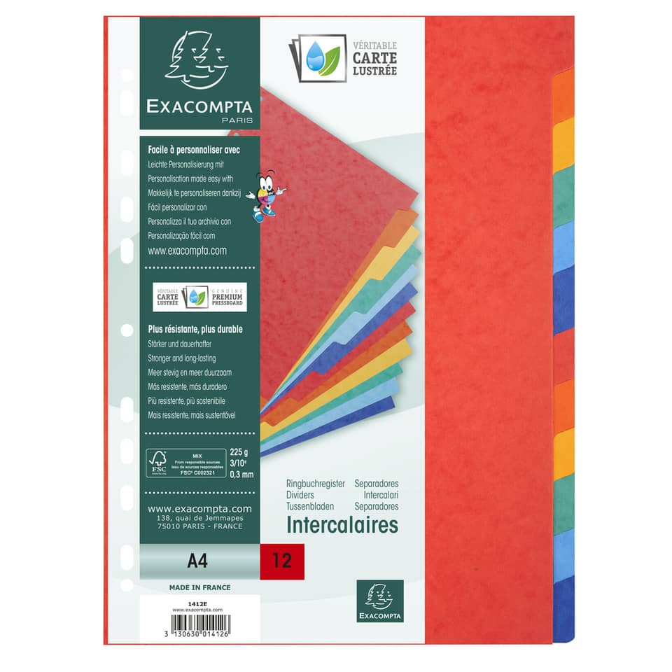 Intercalari in carta Exacompta NATURE FUTURE assortiti carta lustré A4 225 g/m² 12 tasti - 1412E