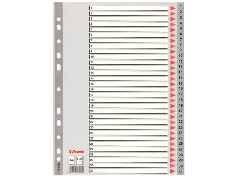 Divisori per rubrica Esselte A4 PPL numerica 1-31 100108