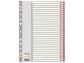 Divisori per rubrica Esselte A4 PPL numerica 1-31 100108