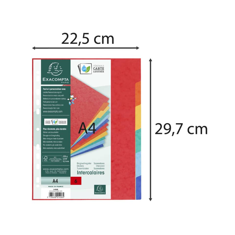 Intercalari in carta Exacompta NATURE FUTURE assortiti carta lustré A4 225 g/m² 6 tasti - 1406E