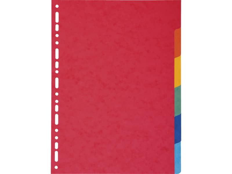 Intercalari in carta Exacompta 6 tasti colori vivaci cartoncino riciclato A4 220 g/mq - 2006E