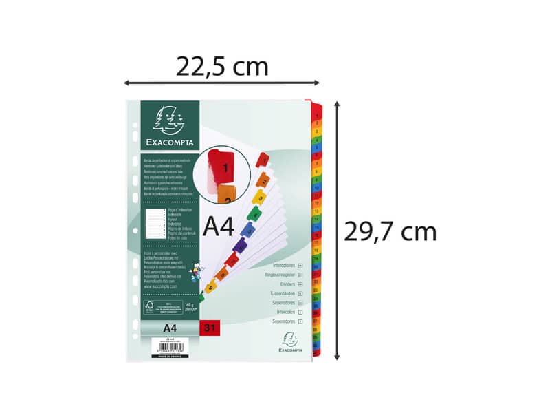 Intercalari stampati in digitale Exacompta multicolori rinforzati Protect'o cartoncino A4 160g/mq da 1 a