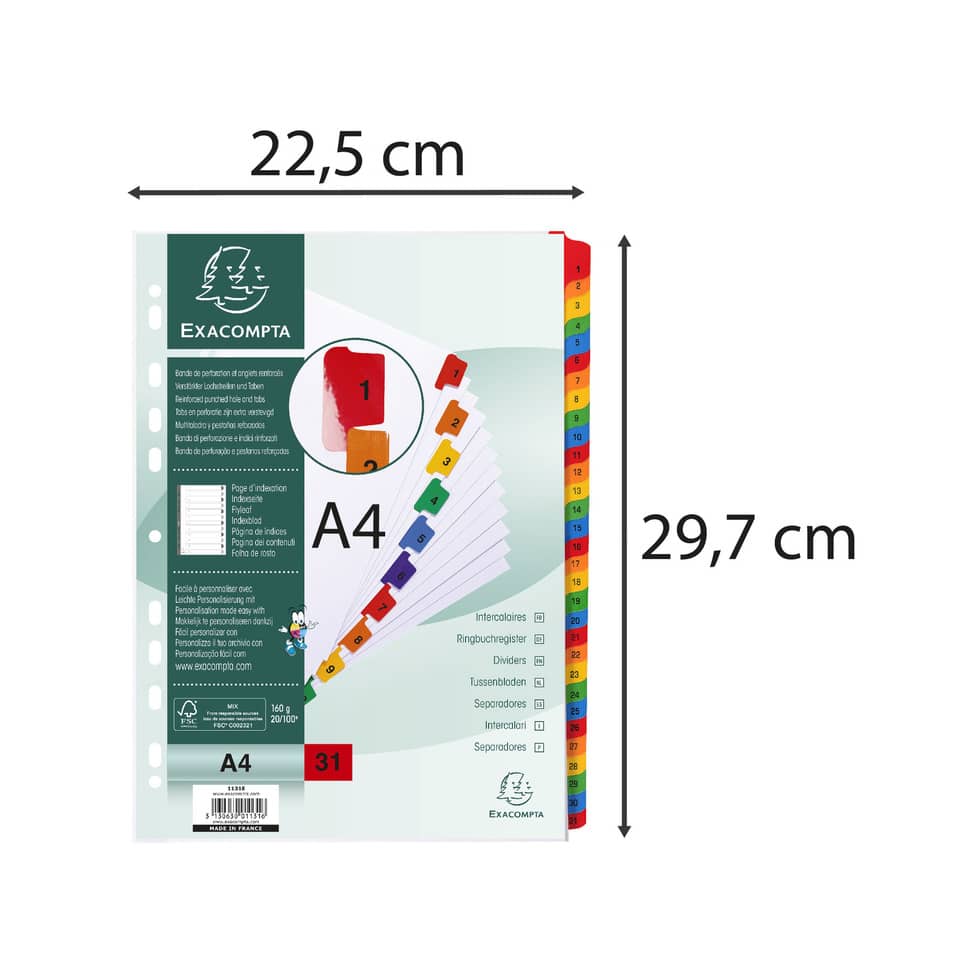 Intercalari stampati in digitale Exacompta multicolori rinforzati Protect'o cartoncino A4 160g/mq da 1 a
