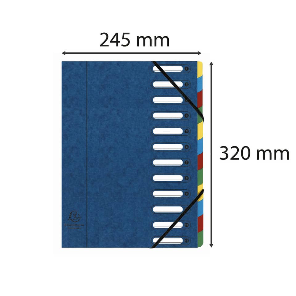 Classificatore Harmonika® 12 divisori - 24,5x32 cm blu 55122E