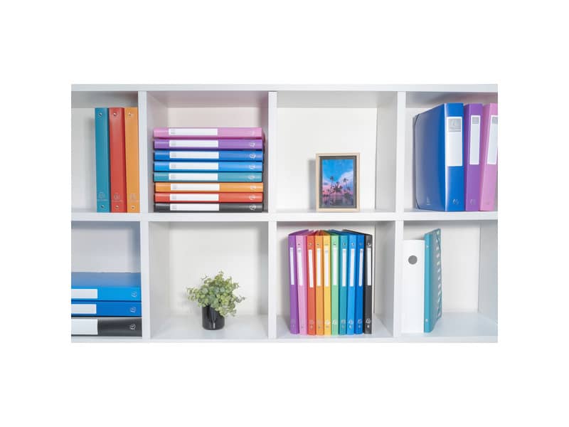 Raccoglitore ad anelli Exacompta LINEA OPACO 4 anelli Ø 15 mm ppl A4 10 colori assortiti - 51199E