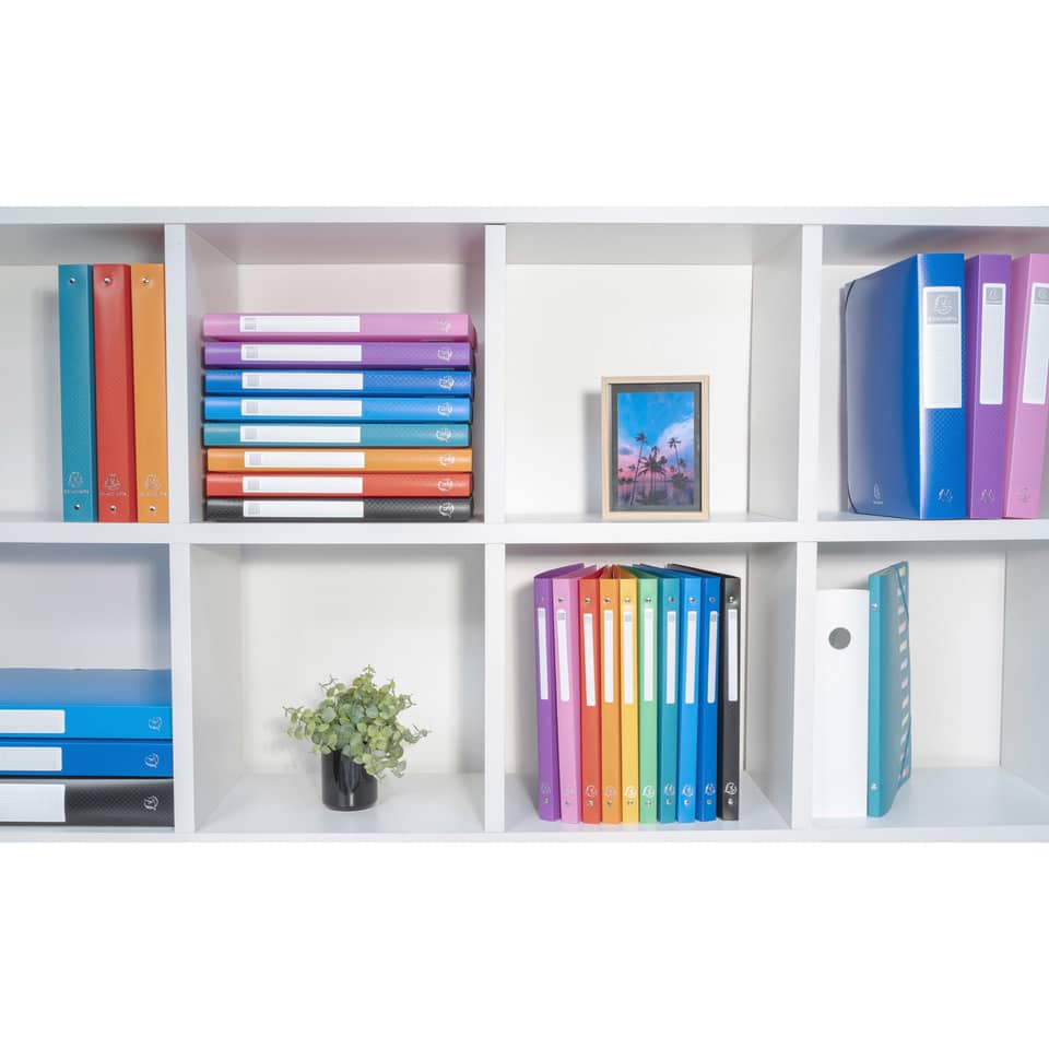 Raccoglitore ad anelli Exacompta LINEA OPACO 4 anelli Ø 30 mm ppl A4 MAXI 297x242 10 colori assortiti - 51699E
