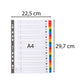 Intercalari stampati in digitale Exacompta Protect'o cartoncino A4 160g/mq 20 tasti AZ - 1111E
