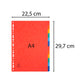 Intercalari in carta Exacompta NATURE FUTURE assortiti carta lustré A4 225 g/m² 12 tasti - 1412E