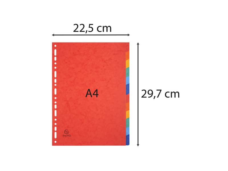 Intercalari in carta Exacompta NATURE FUTURE assortiti carta lustré A4 225 g/m² 12 tasti - 1412E