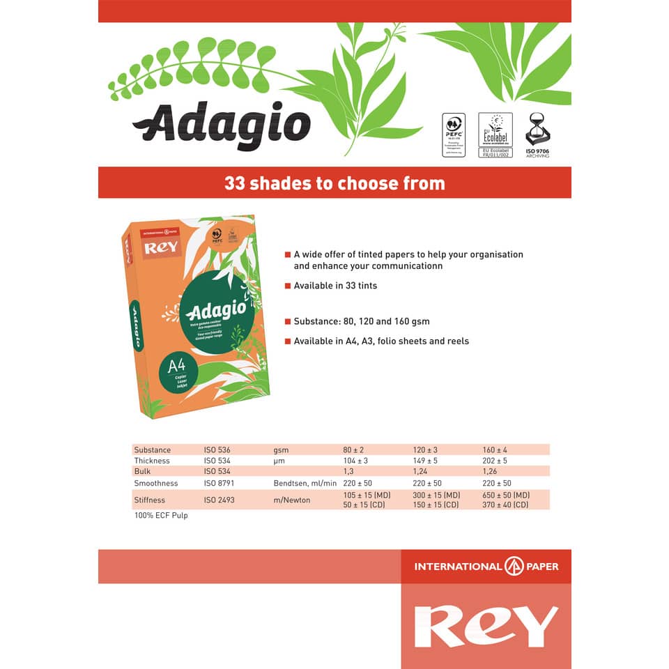 Carta colorata A4 International Paper Rey Adagio 160 g/m² verde - Risma da 250 fogli - ADAGI160X456